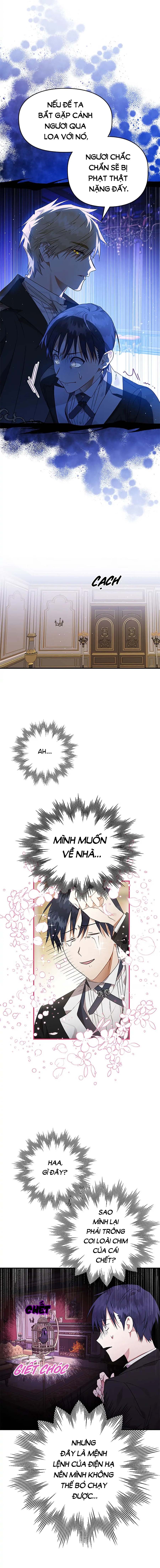Đọc truyện Hoàng Tử Của Quạ - Chap 6