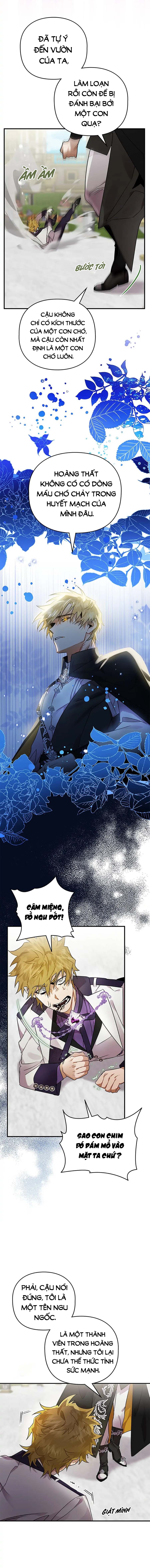 Đọc truyện Hoàng Tử Của Quạ - Chap 8