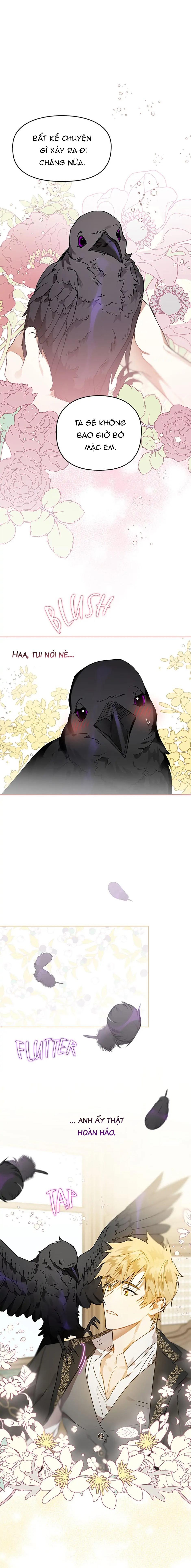 Đọc truyện Hoàng Tử Của Quạ - Chap 4