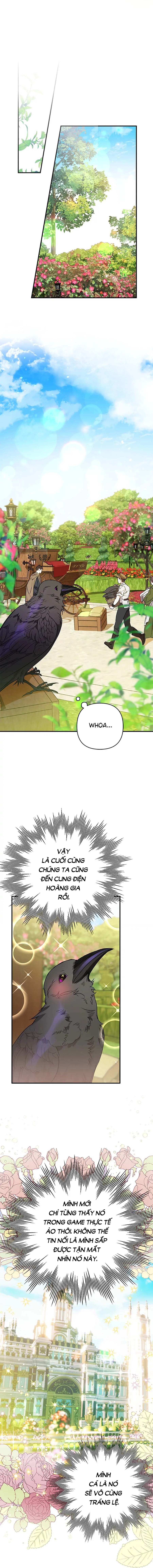 Đọc truyện Hoàng Tử Của Quạ - Chap 5