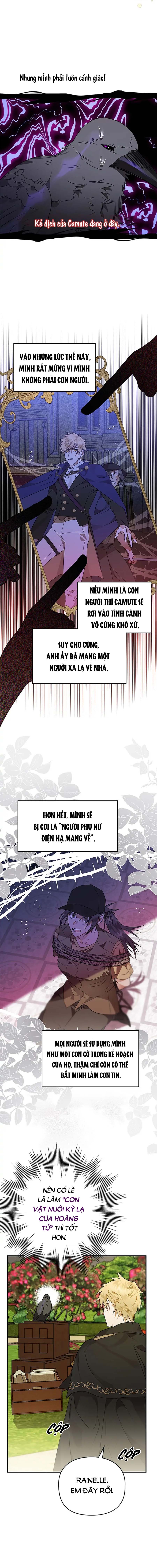 Đọc truyện Hoàng Tử Của Quạ - Chap 5