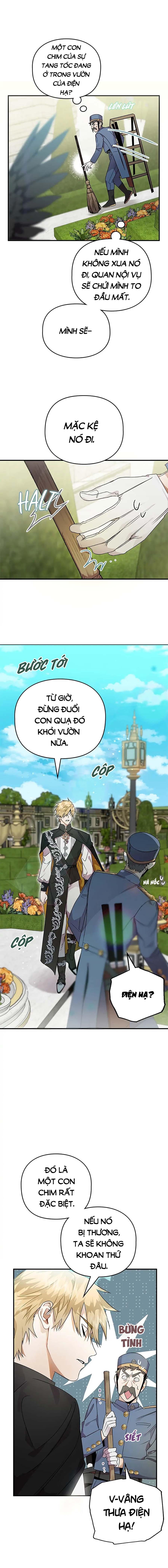 Đọc truyện Hoàng Tử Của Quạ - Chap 8