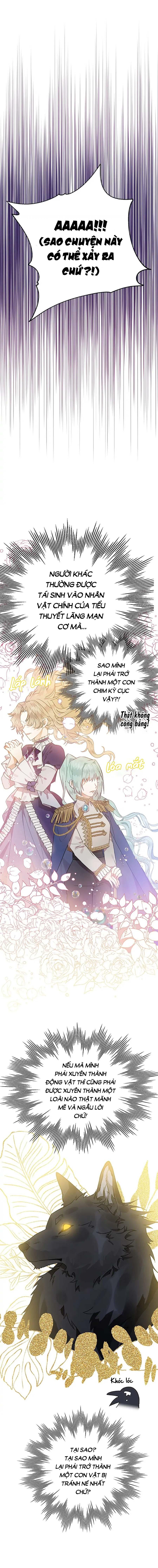 Đọc truyện Hoàng Tử Của Quạ - Chap 1
