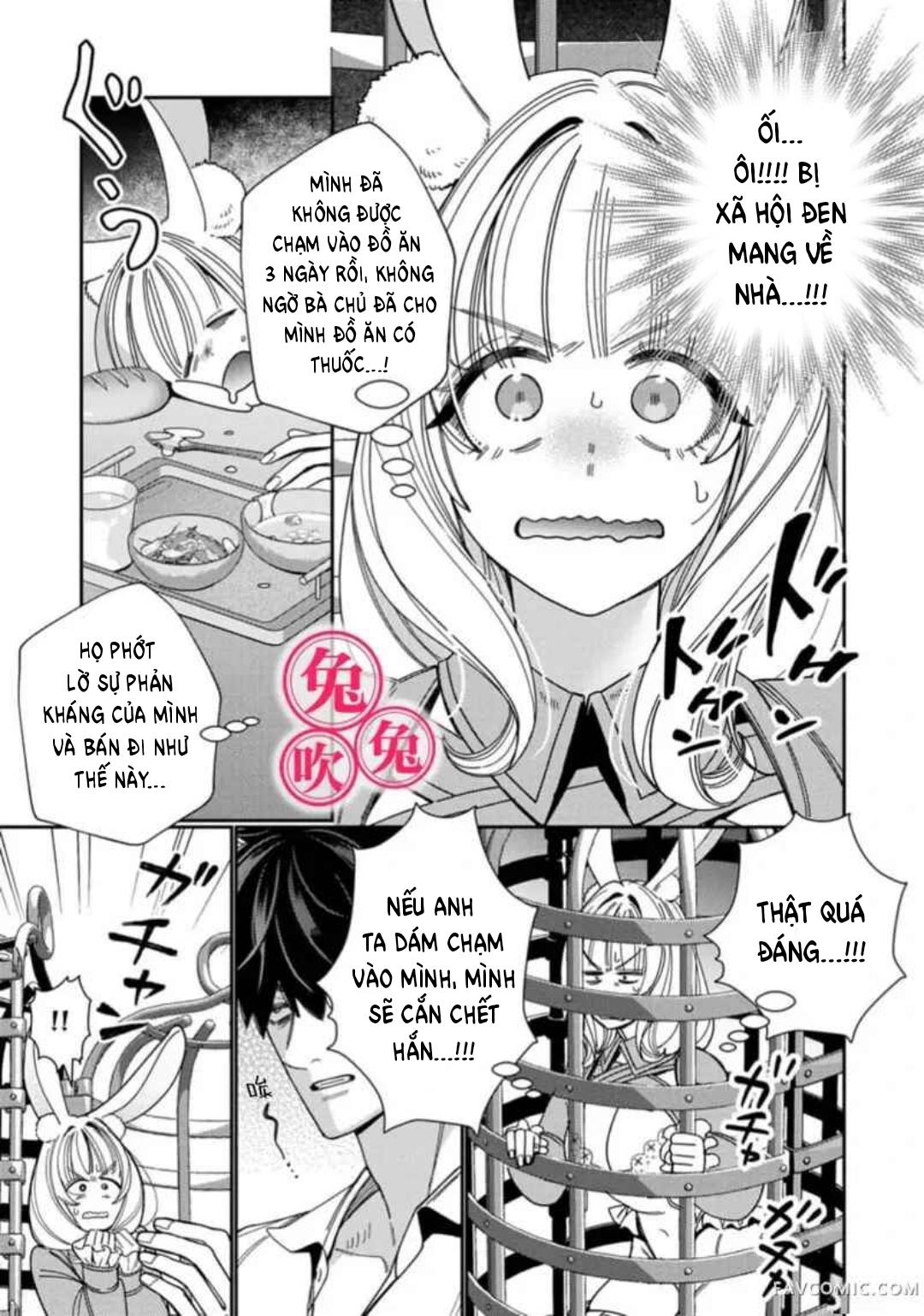 Đọc truyện [R-21] Mafia và kiều thê thỏ trắng - Chap 1