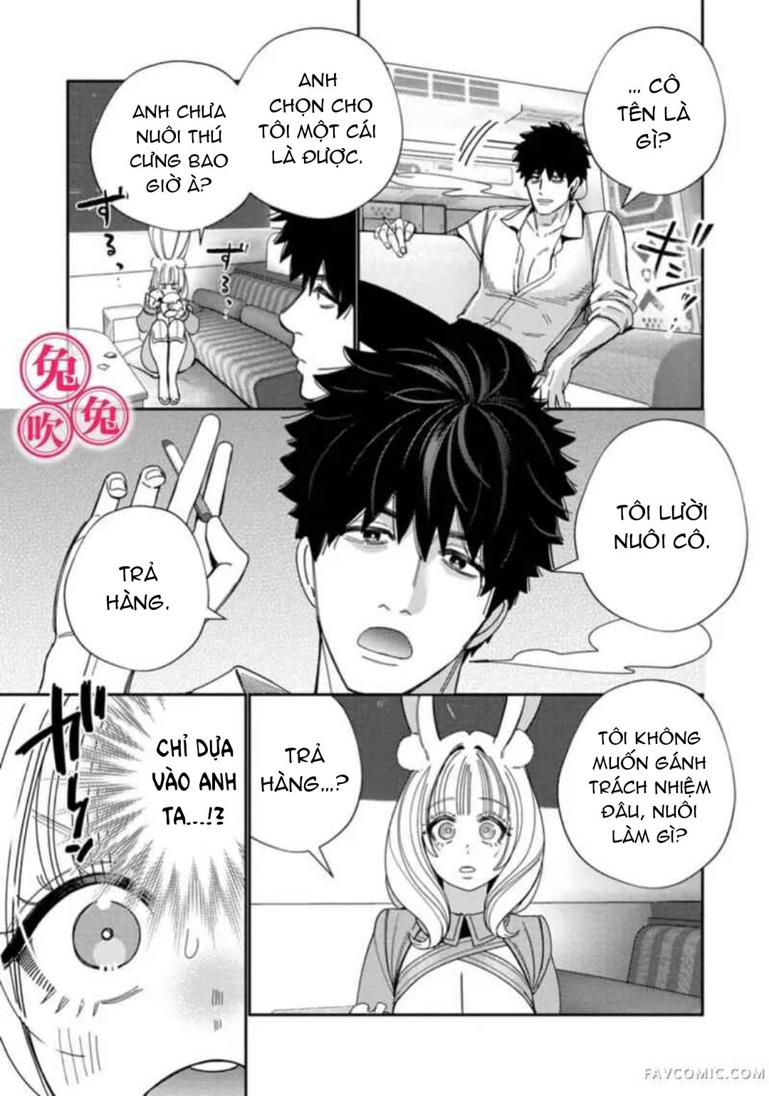 Đọc truyện [R-21] Mafia và kiều thê thỏ trắng - Chap 1
