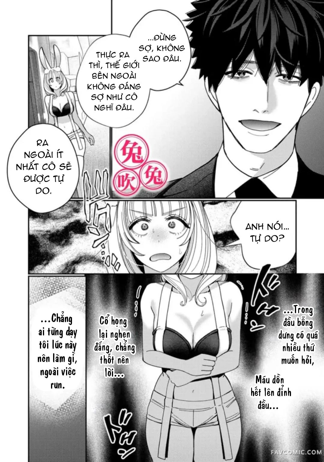 Đọc truyện [R-21] Mafia và kiều thê thỏ trắng - Chap 2
