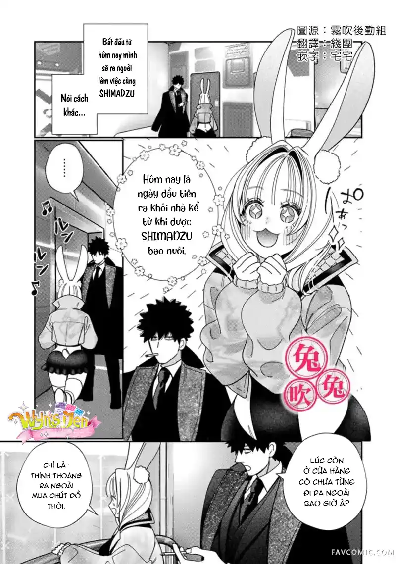 Đọc truyện [R-21] Mafia và kiều thê thỏ trắng - Chap 3