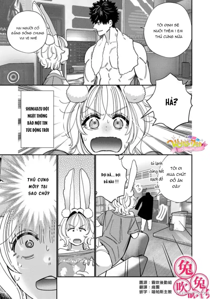 Đọc truyện [R-21] Mafia và kiều thê thỏ trắng - Chap 4.1