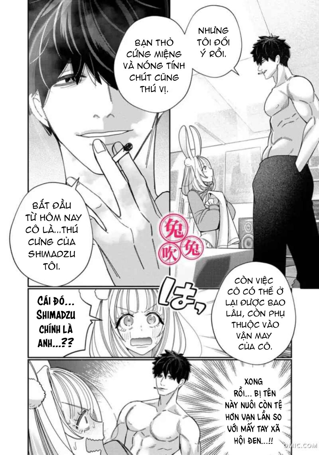 Đọc truyện [R-21] Mafia và kiều thê thỏ trắng - Chap 1