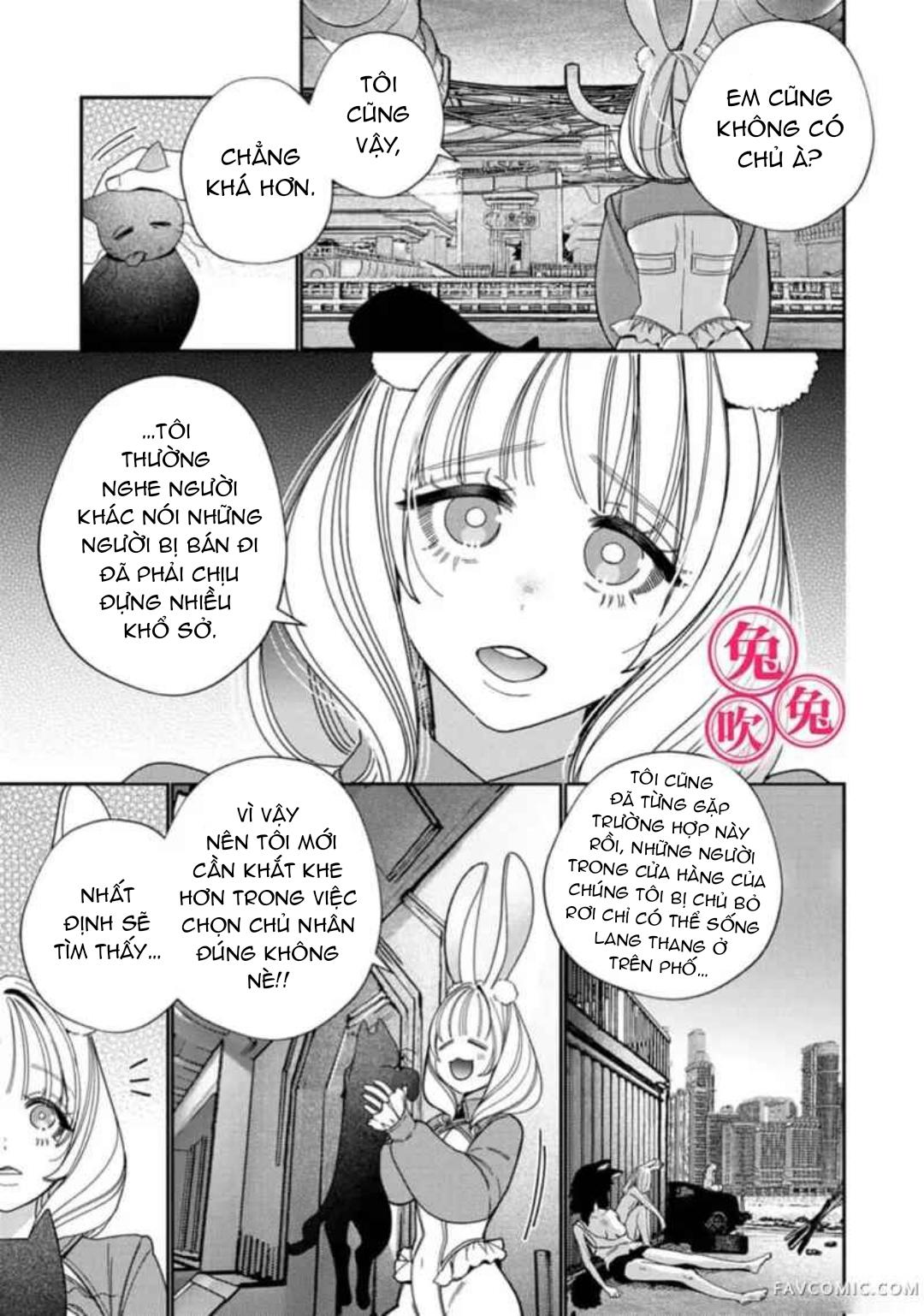 Đọc truyện [R-21] Mafia và kiều thê thỏ trắng - Chap 1