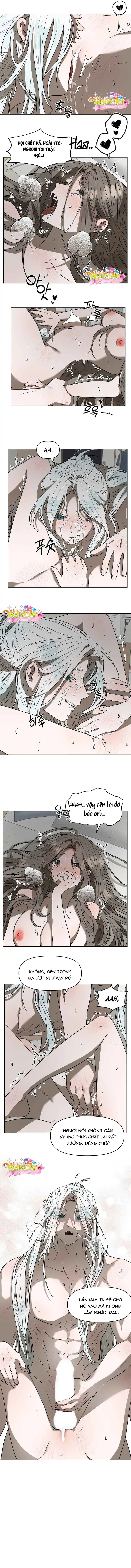 Đọc truyện [18+]  Câu cá cũng bắt trúng tiên cá đẹp trai!? - Chap 8