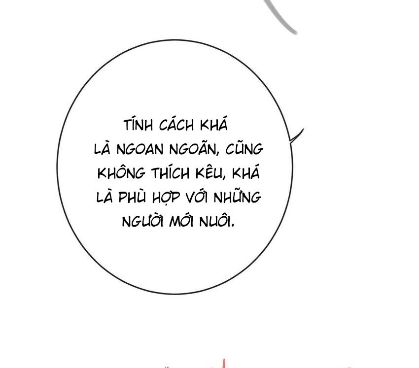 Đọc truyện Nịch Tửu - 43