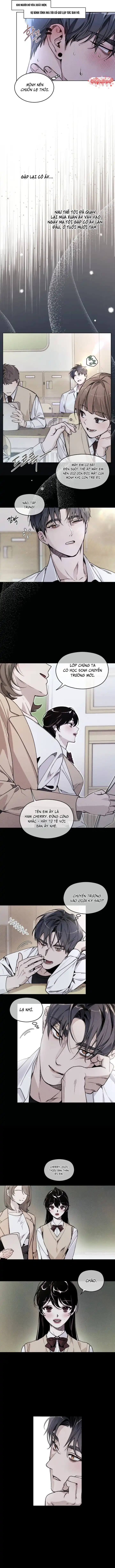 Đọc truyện (R18) Đắm Mình Trong Mật Ngọt - Chap 1