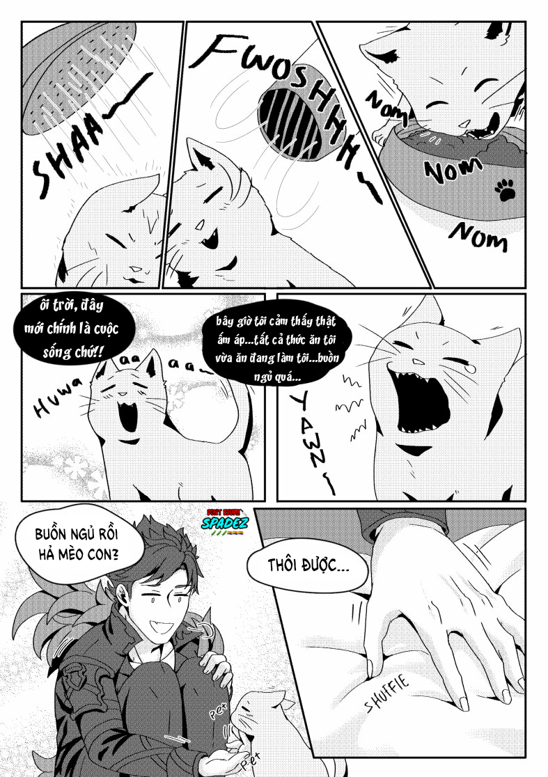 Đọc truyện [BL, 18+] Chú mèo bị bỏ rơi - Oneshot