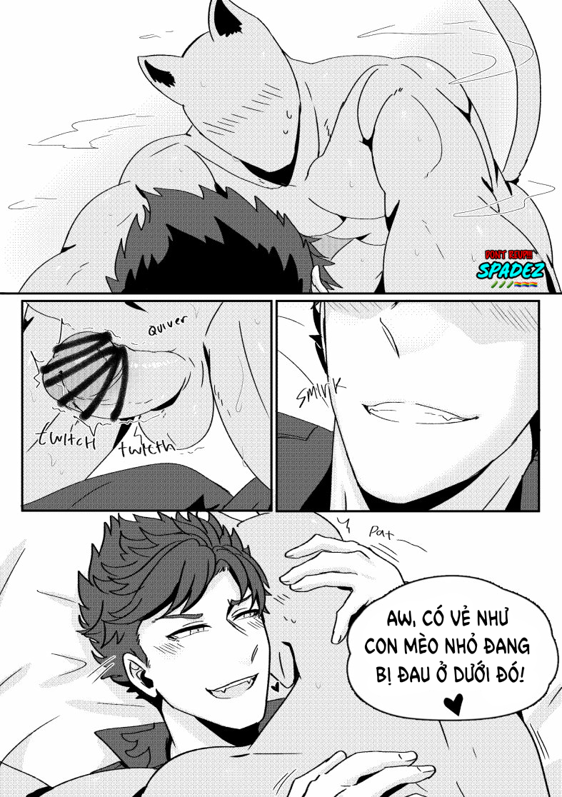 Đọc truyện [BL, 18+] Chú mèo bị bỏ rơi - Oneshot